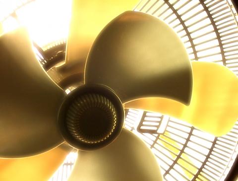 Fan Fan