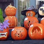 Pumpkins Pumpkins