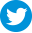 footer twitter icon